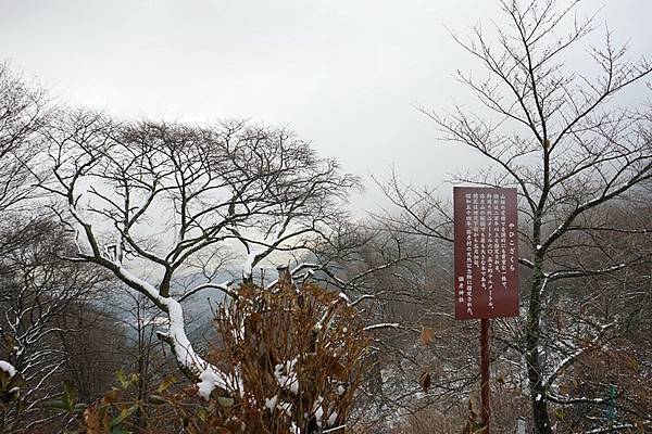 D11 彌彥山（登山纜車山頂站 - 彌彥神社奧宮）  09.jpg