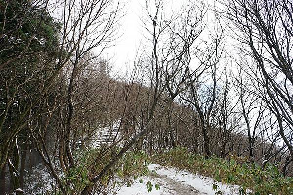 D11 彌彥山（登山纜車山頂站 - 彌彥神社奧宮）  16.jpg