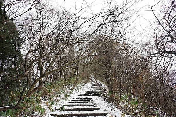 D11 彌彥山（登山纜車山頂站 - 彌彥神社奧宮）  17.jpg