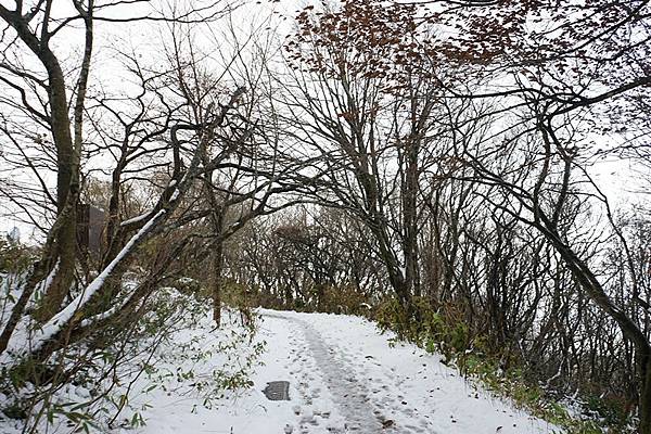 D11 彌彥山（登山纜車山頂站 - 彌彥神社奧宮）  22.jpg