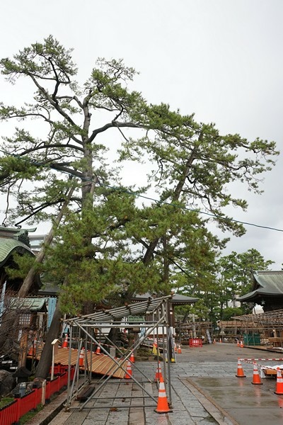 E06 白山神社 16.jpg