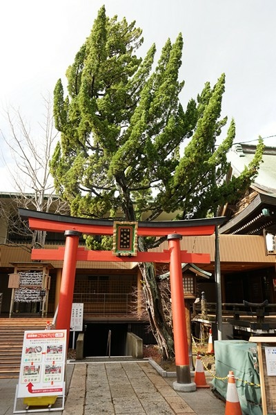 E06 白山神社 22.jpg