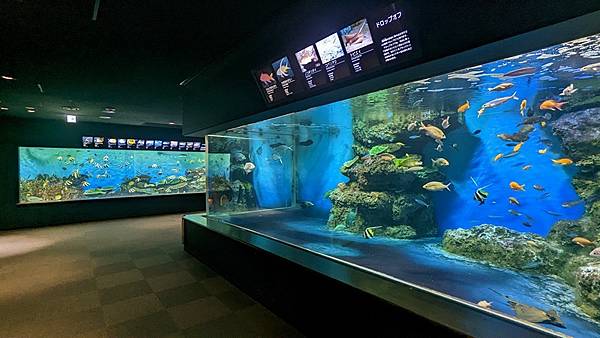 E17 新潟市水族館 マリンピア日本海 47.jpg