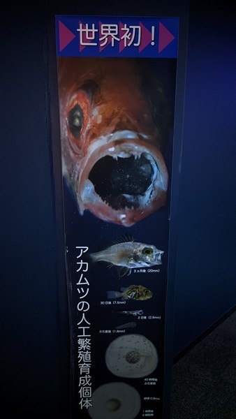 E17 新潟市水族館 マリンピア日本海 55.jpg