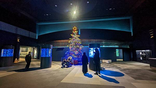 E17 新潟市水族館 マリンピア日本海 72.jpg