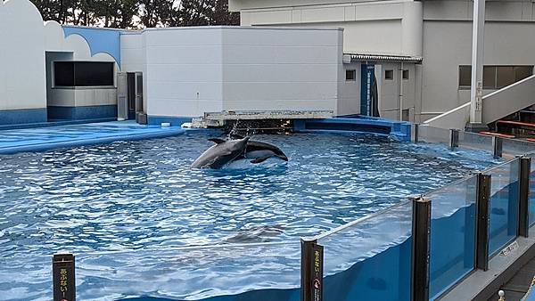 E17 新潟市水族館 マリンピア日本海 127.jpg