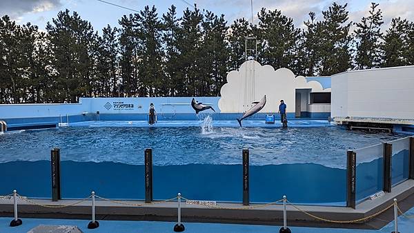 E17 新潟市水族館 マリンピア日本海 178.jpg