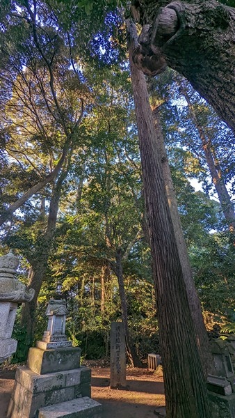 H08 佐原諏訪神社 27.jpg