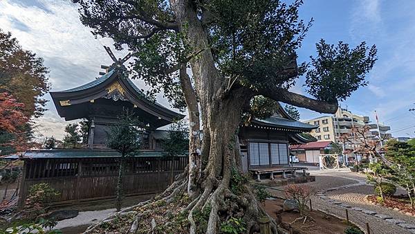 I3 成田埴生神社 04.jpg