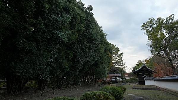 B8 北岡自然公園 60.jpg