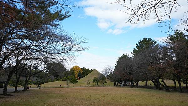 C06 水前寺成趣園 36.jpg