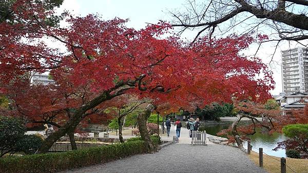 C06 水前寺成趣園 41.jpg