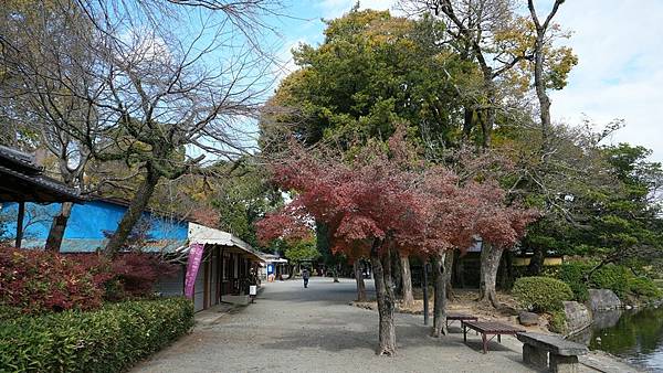 C06 水前寺成趣園 48.jpg