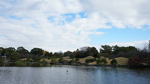 C06 水前寺成趣園 46.jpg