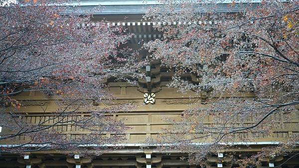 C13 健軍神社 14.jpg