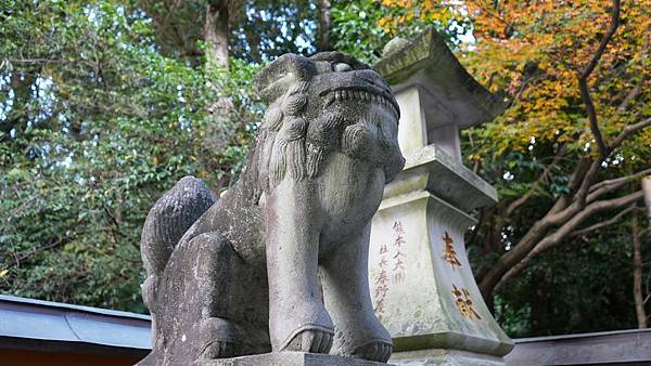 C13 健軍神社 19.jpg