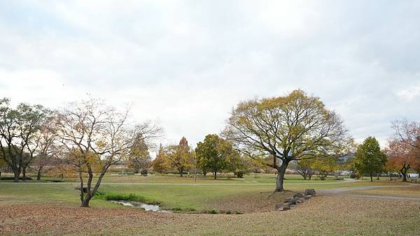 C15 水前寺江津湖公園 04.jpg