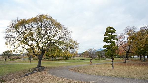 C15 水前寺江津湖公園 05.jpg C15 水前寺江津湖公園 05.jpg