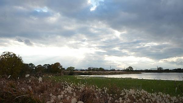 C15 水前寺江津湖公園 07.jpg