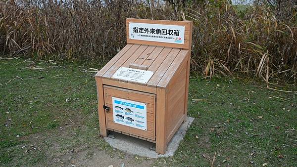 C15 水前寺江津湖公園 11.jpg