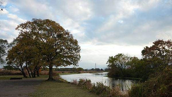 C15 水前寺江津湖公園 17.jpg