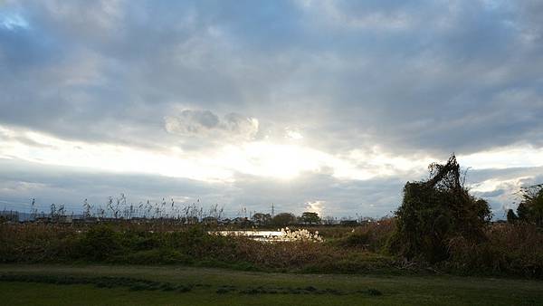 C15 水前寺江津湖公園 20.jpg