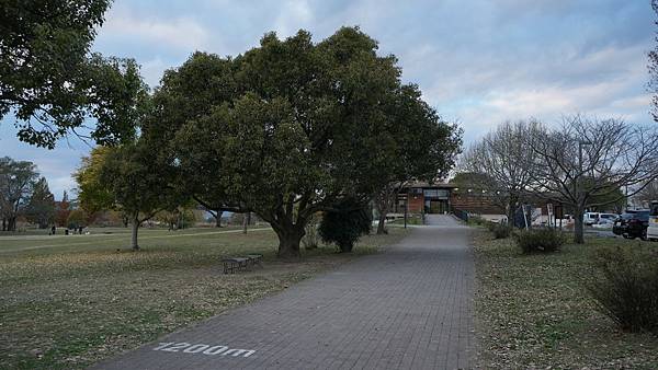 C15 水前寺江津湖公園 45.jpg