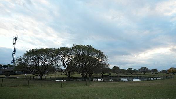 C15 水前寺江津湖公園 43.jpg