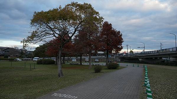 C15 水前寺江津湖公園 42.jpg