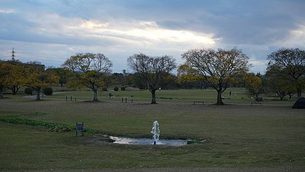 C15 水前寺江津湖公園 46.jpg