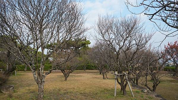 E01 島原城 20.jpg