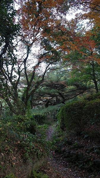 E15 靈丘神社 17.jpg