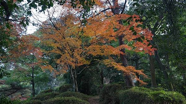 E15 靈丘神社 16.jpg