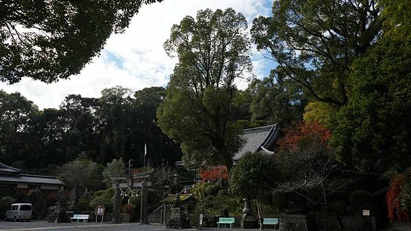 G14 諫早高城神社 02.jpg