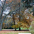 2010-10-Czech-瑪麗安斯凱07.JPG