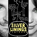 Silver Linings Playbook派特的幸福劇本