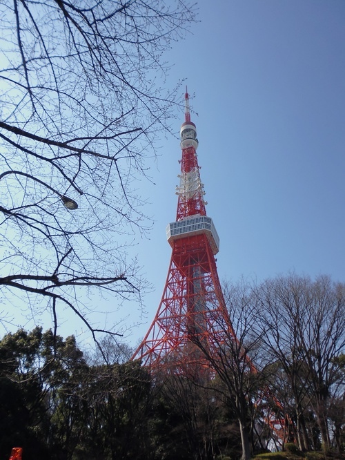 P1020017.JPG P1020017.JPG