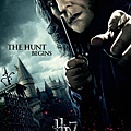 Severus-Poster-severus-snape-16082315-800-1280.jpg