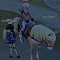 mabinogi_2008_11_14_005.JPG