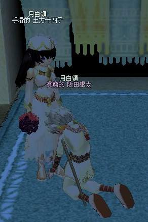 mabinogi_2008_11_29_149.JPG