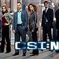 csi_ny-show.jpg