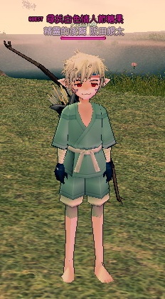 mabinogi_2009_06_11_002.JPG