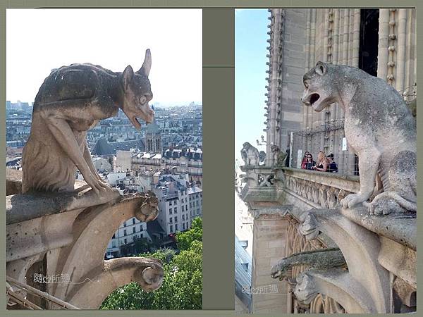 投影片41.JPG 投影片41.JPG