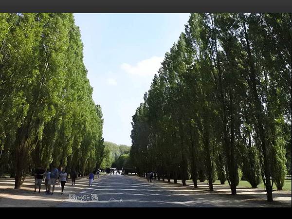 投影片20.JPG 投影片20.JPG