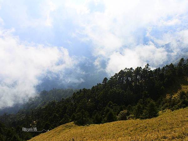 投影片12.JPG 投影片12.JPG