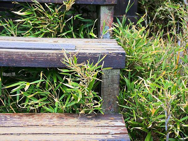 投影片9.JPG 投影片9.JPG