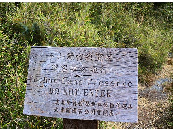 投影片8.JPG 投影片8.JPG