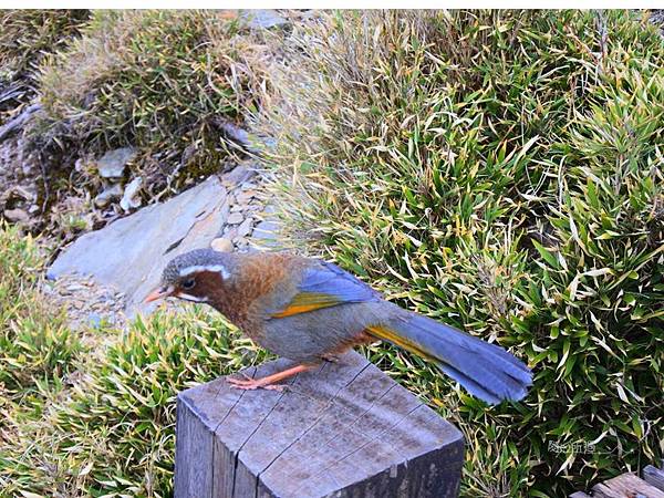 投影片10.JPG 投影片10.JPG