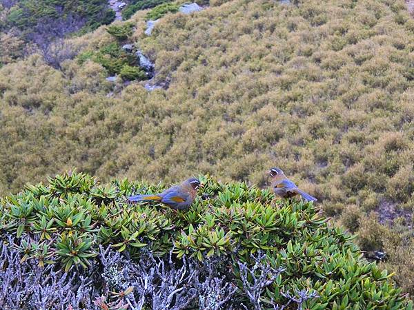 投影片15.JPG 投影片15.JPG