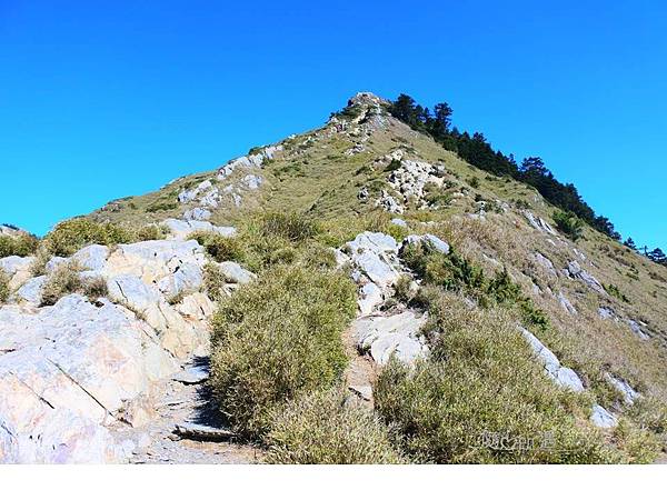 投影片4.JPG 投影片4.JPG